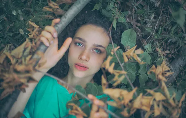 Взгляд, ветки, лицо, ситуация, Antonia