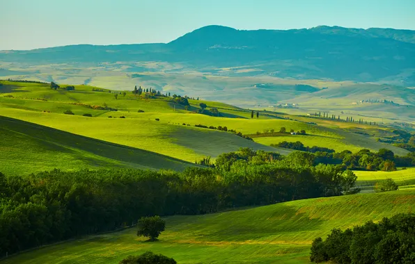 Зелень, трава, деревья, горы, поля, Италия, панорама, луга
