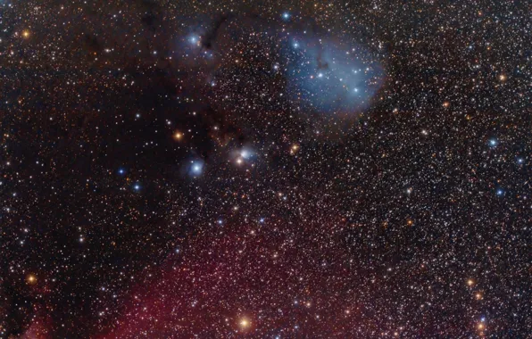 Картинка туманность, в созвездии, IC 447, отражательная, Единорога