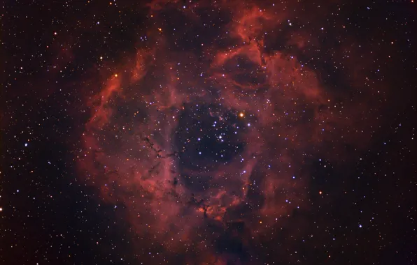 Космос, звезды, Rosette Nebula