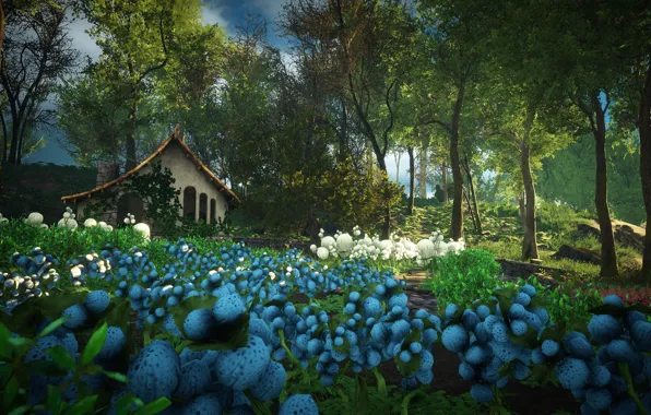 Цветы, природа, дом