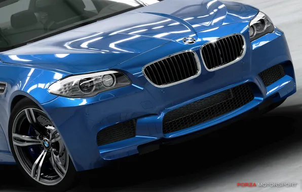 Car, синий, фары, BMW, Forza Motorsport 4