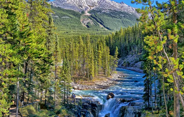 Лес, горы, река, водопад, Канада, Альберта, Alberta, Canada