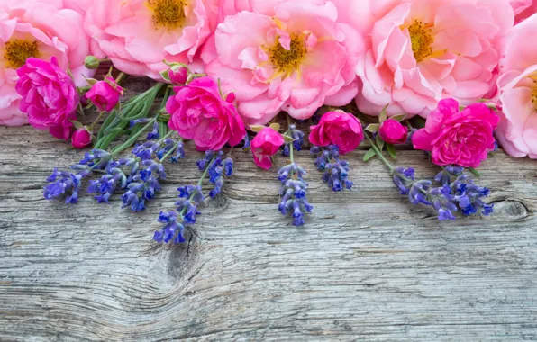 Картинка цветы, розовые, бутоны, wood, pink, flowers, лаванда, bud