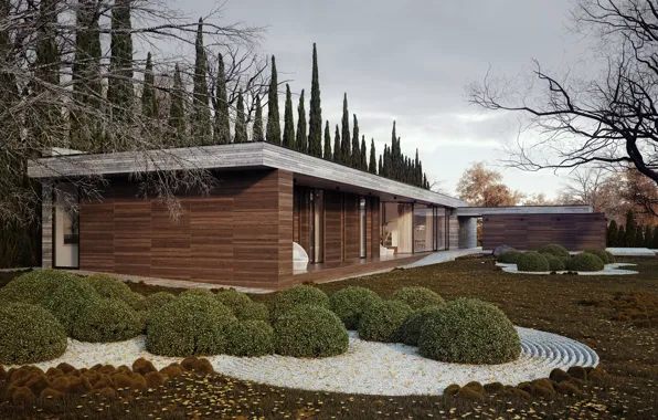 Дизайн, дом, дерево, газон, кусты, Horizontal, Michal Nowak