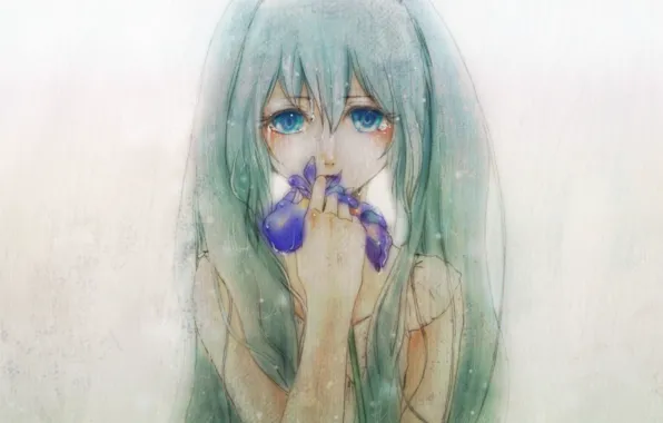 Слезы, голубые глаза, серый фон, Hatsune Miku, длинные волосы, vokaloid, ирис