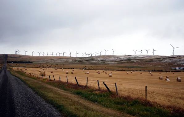 Canada, road, nature, fence, wind turbines, Stowe