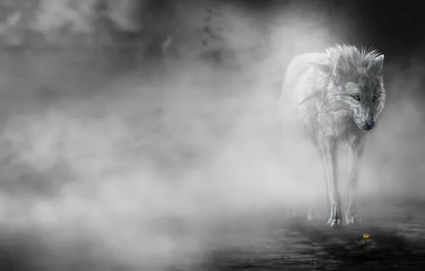 Цветок, туман, Волк, art, wolfroad, the fog