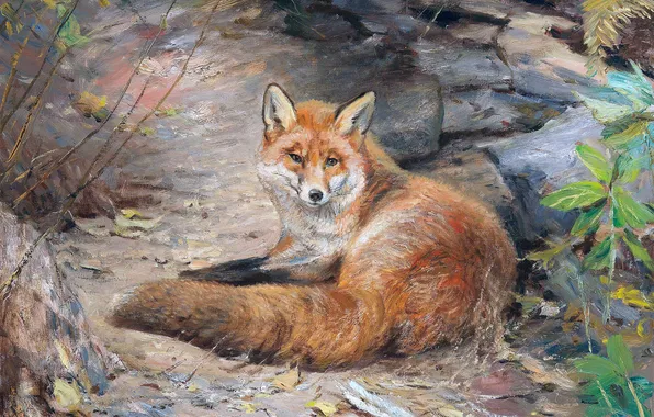 Лиса, Картина, Немецкий художник, Wilhelm Lorenz, Вильгельм Лоренц