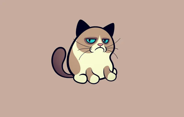 Кошка, кот, минимализм, grumpy cat, соус тардар, сердитый котик, tardar sauce