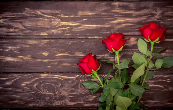 Букет, red, wood, romantic, roses, красные розы