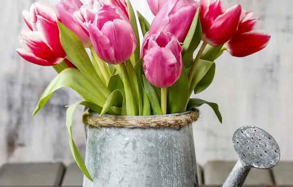 Тюльпаны, лейка, flowers, tulips, spring