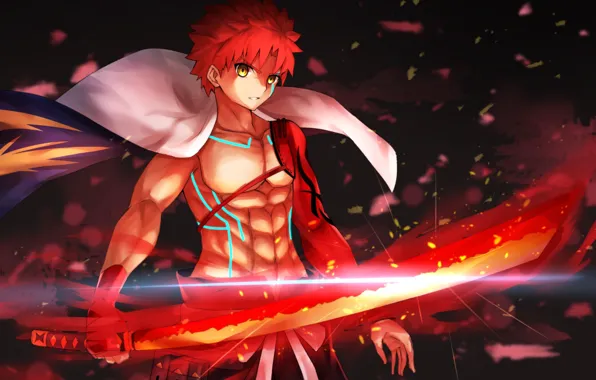 Меч, парень, Fate / Grand Order, Судьба великая кампания