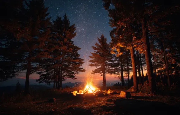 Лес, звезды, деревья, пейзаж, ночь, камни, огонь, поляна