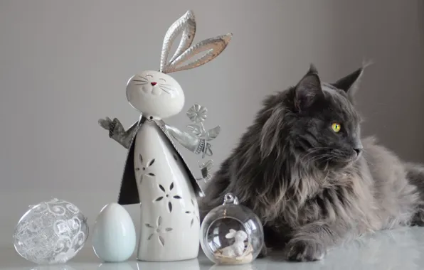 Кошка, кот, взгляд, морда, поза, стол, серый, игрушка