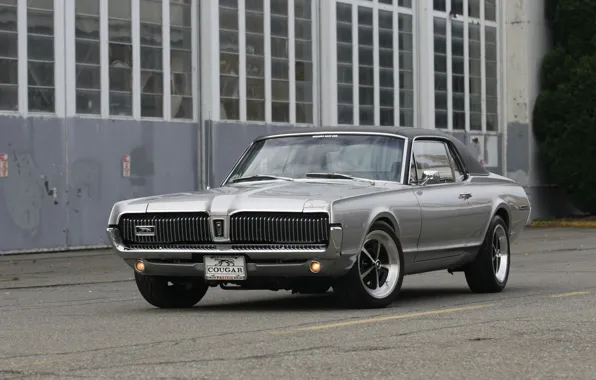 Cougar, 1967, Silver, Mercury, Muscle classic