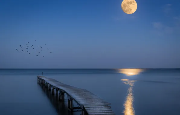 Картинка море, ночь, мост, луна