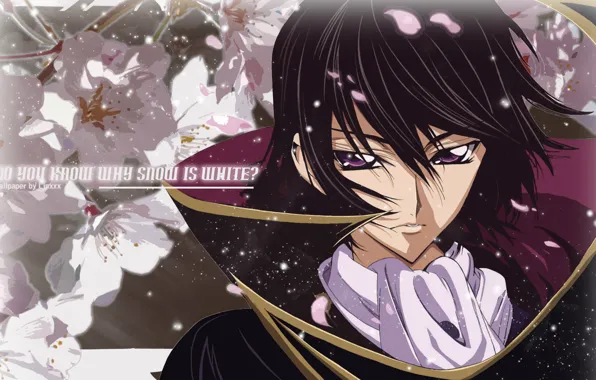 Лепестки, сакура, шарф, art, code geass, код гиас, takahiro himura, lelouche lamperouge