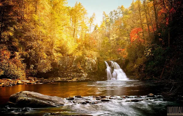 Картинка лес, солнце, река, водопад, красота, photographer, умиротворение, Aaron Woodall