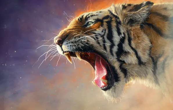 Кошка, Тигр, Кот, Пасть, Клыки, Морда, Хищник, Tiger