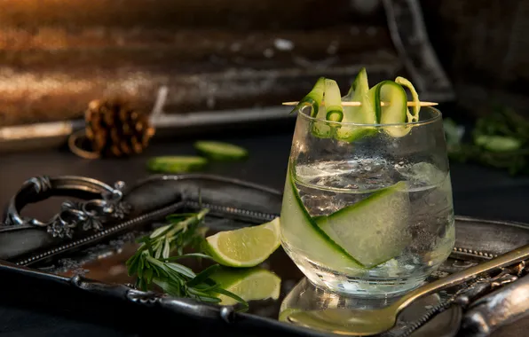 Glass, lime, slice, transparent, gin, tonic