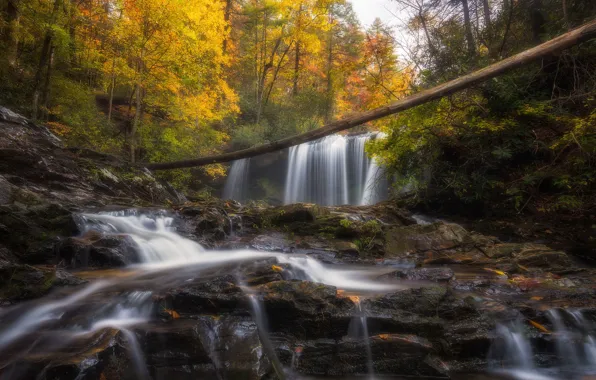 Осень, лес, вода, деревья, ветки, природа, камни, скалы