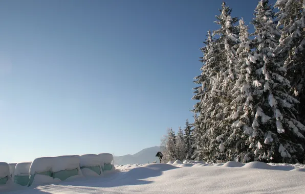Картинка зима, снег, деревья, горы, природа, пейзажи, вершины, вид
