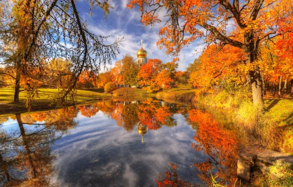 Картинка осень, пейзаж, ветки, природа, город, пруд, парк, отражение