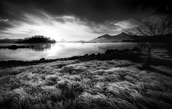 Туман, озеро, утро, japan, Fukushima, Frosty morning, чб фотография, Hibara