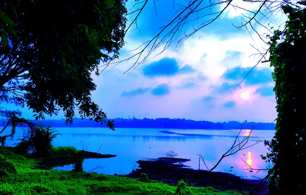 Sun, Water, Sunrise, Dawn, Morning, Lake, Trees, Reflection