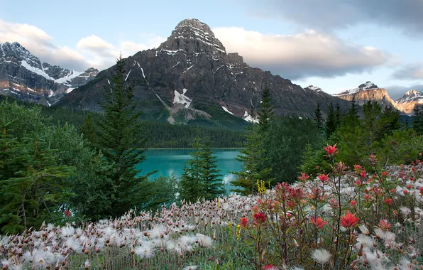 Небо, облака, цветы, горы, озеро, canada, alberta, banff national park
