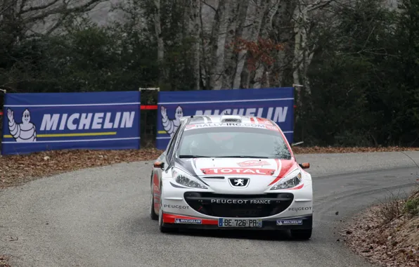 Картинка Пежо, Peugeot, Rally, Ралли, Monte Carlo, IRC, 207, Bryan Bouffier