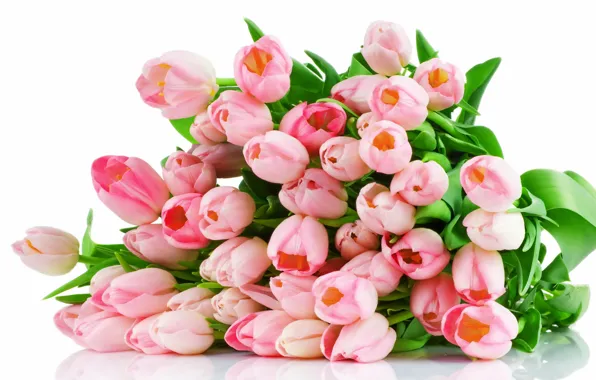 Картинка цветы, букет, тюльпаны, розовые, pink, tulips