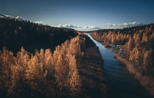 Картинка осень, лес, река