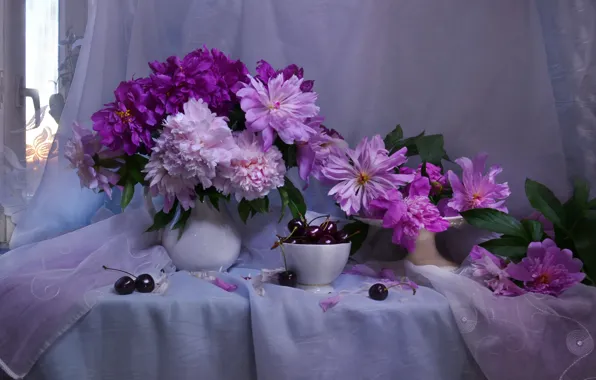 Картинка цветы, ягоды, окно, ваза, кувшин, натюрморт, занавеска, черешня