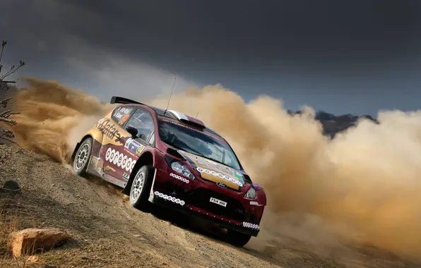 Ford, Пыль, WRC, Rally, Fiesta, Al Kuwari