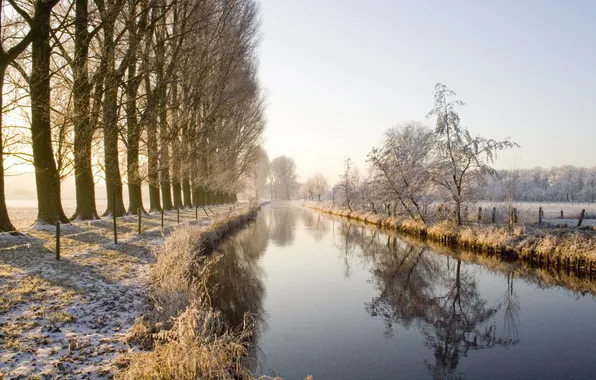Картинка зима, деревья, природа, речка, аллея