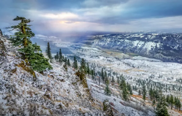 Зима, природа, гора, долина