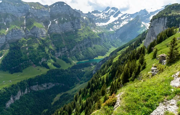 Лес, пейзаж, горы, природа, озеро, Швейцария, Альпы, Зеальпзе