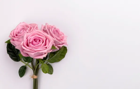 Цветы, розы, букет, розовые, pink, flowers, roses, tender