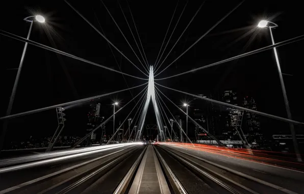 Holland, Rotterdam, Erasmus Bridge