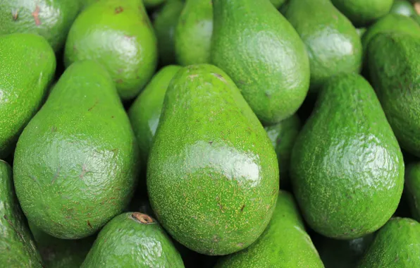 Green, fruit, Indonesia, avocados