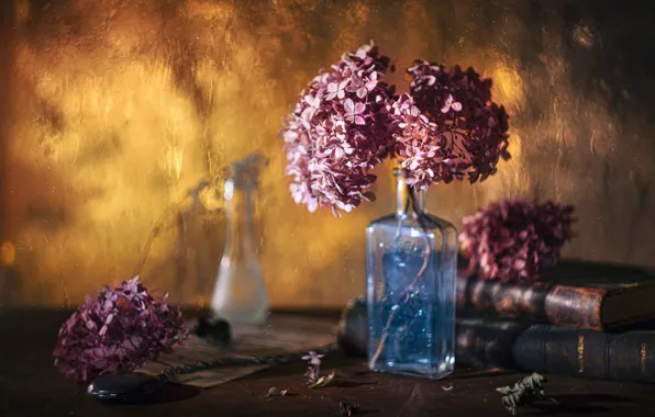Картинка свет, цветы, веточка, фон, размытие, книга, розовые, натюрморт