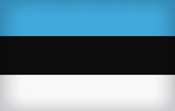 Estonia, Flag, Estonian Flag, Estonia Large Flag, Flag Of Estonia