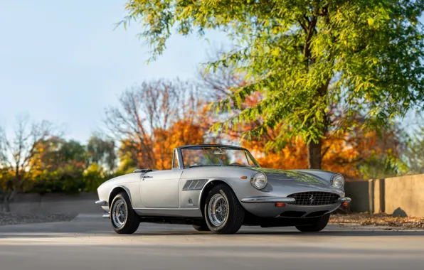 Картинка Ferrari, 1968, 330, Ferrari 330 GTS