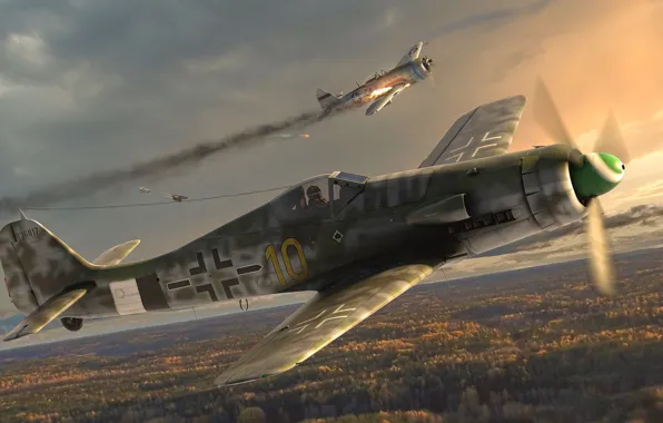 Истребитель-моноплан, Focke-Wulf, Люфтваффе, немецкий одноместный одномоторный поршневой, Antonis (rOEN911) Karidis, FW-190 D-13