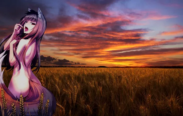 Холо, spice and wolf, Волчица и Пряности, Обои на Рабочий Стол