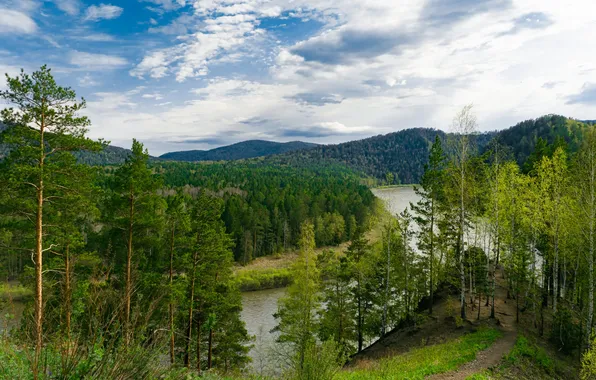 Лес, небо, облака, река, даль, ели, берега