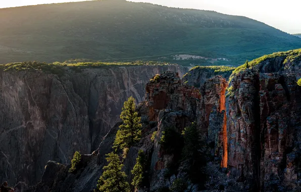 Деревья, скалы, каньон, США, Colorado, Gunnison National Park, Black Canyon