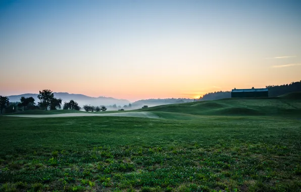 Туман, утро, поле для гольфа